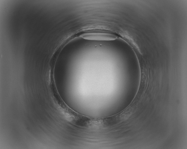 X0000074220110200608251139