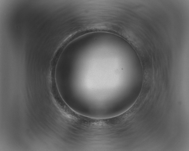 X0000074220112200608251139