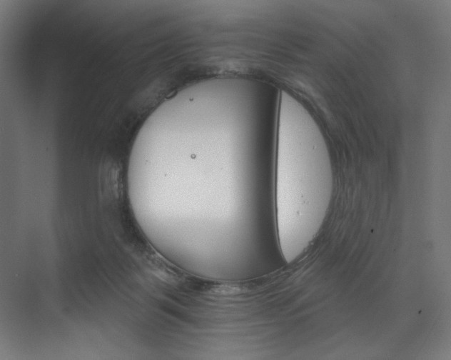 X0000074220123200608251139