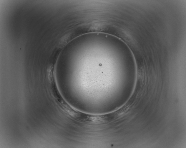 X0000074220127200608251139