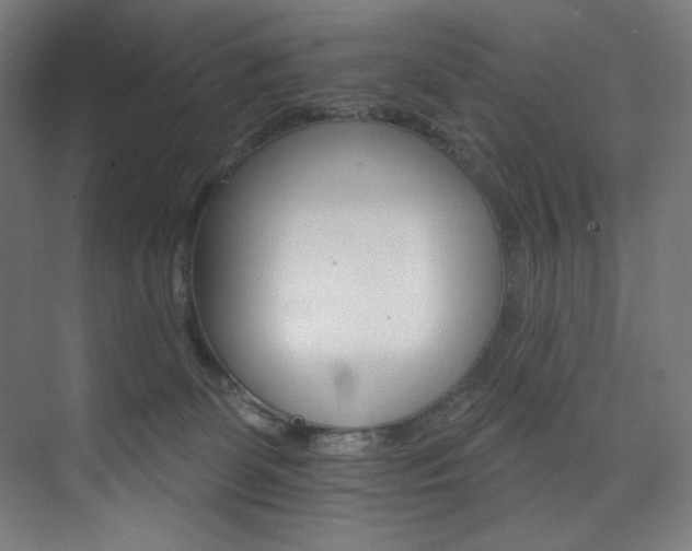 X0000074220131200608251139