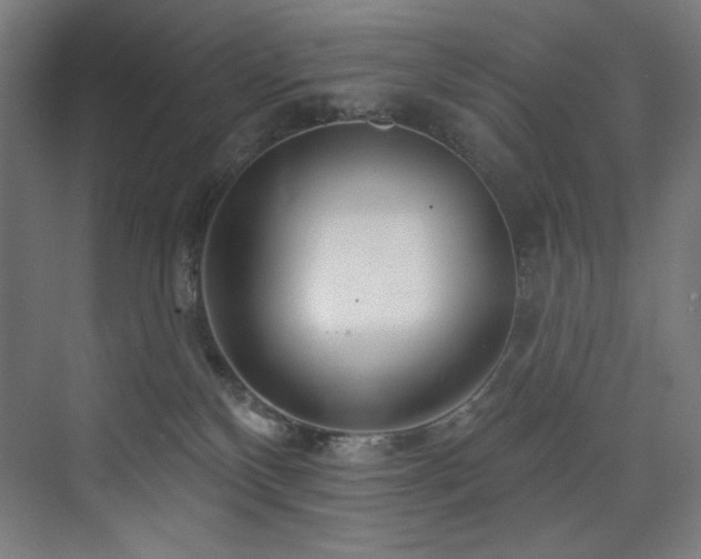 X0000074220136200608251139