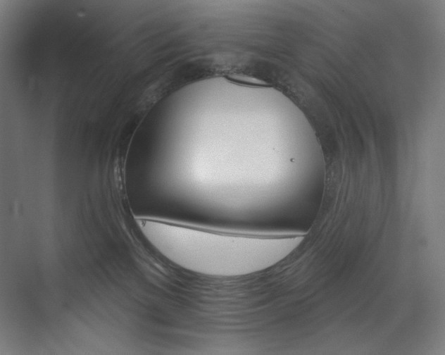 X0000074220137200608251139