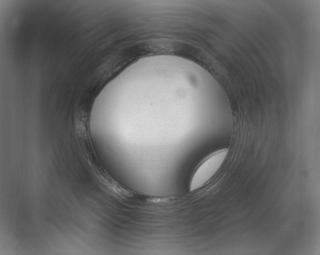 X0000074220141200608251138