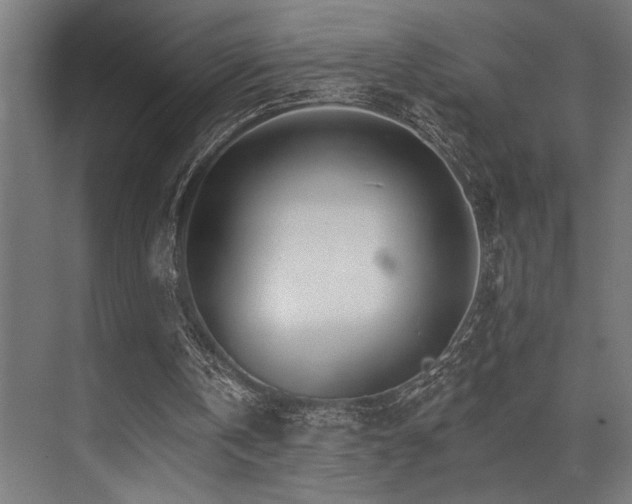 X0000074220146200608251138