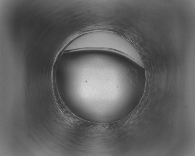 X0000074220148200608251138