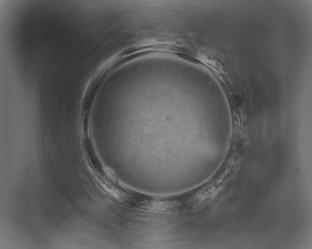 X0000074220149200608251138