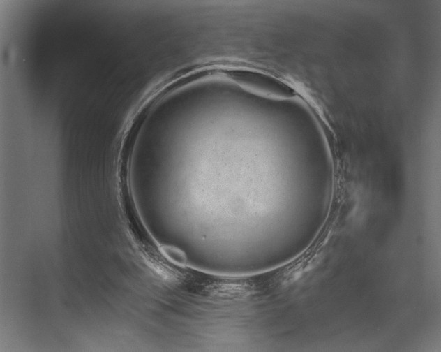 X0000074220151200608251138