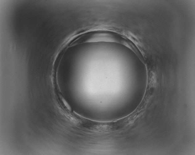X0000074220152200608251138