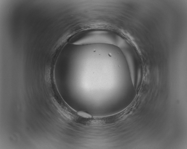 X0000074220154200608251138