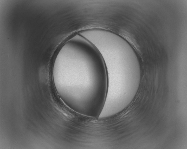 X0000074220156200608251138