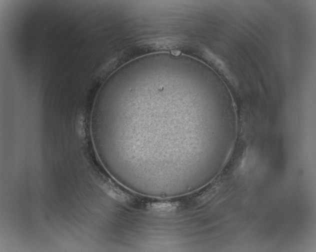 X0000074220161200608251138