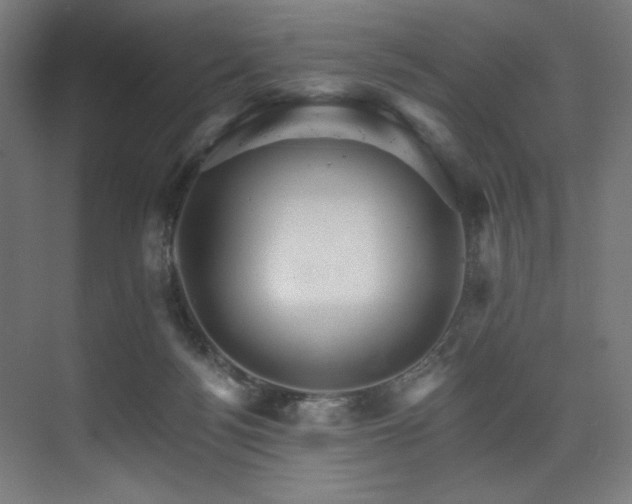 X0000074220172200608251138