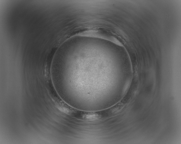 X0000074220173200608251138