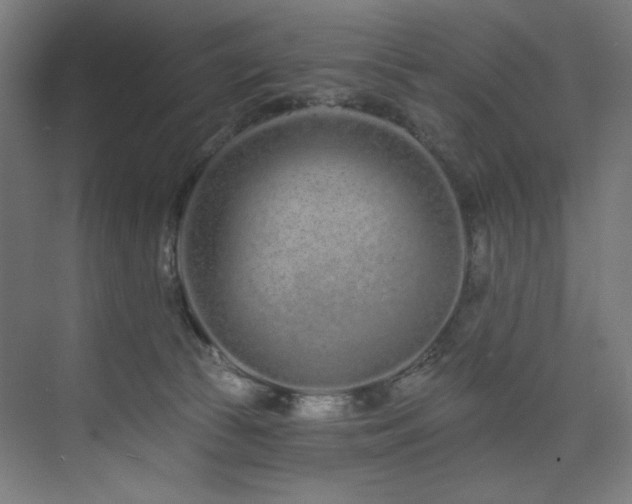 X0000074220177200608251138