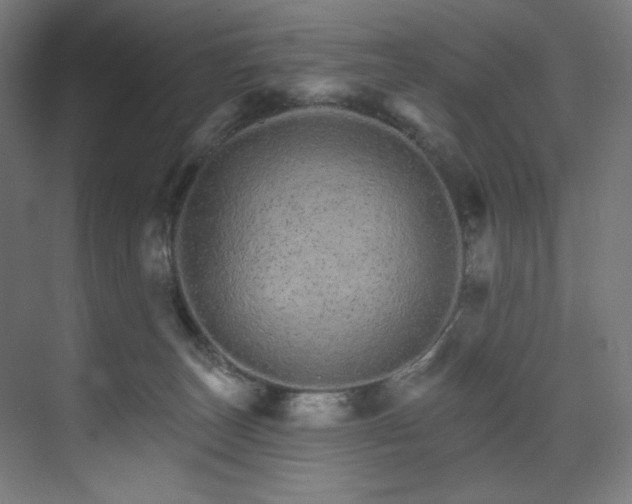 X0000074220179200608251138