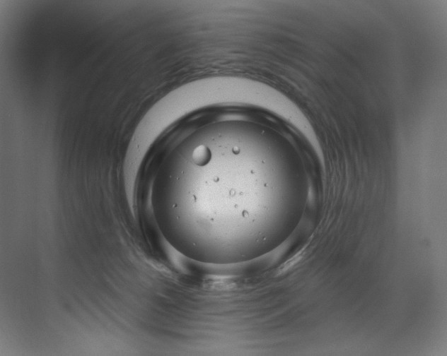 X0000074220180200608251138