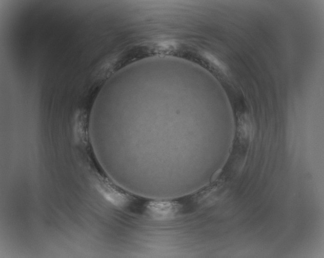 X0000074220181200608251138