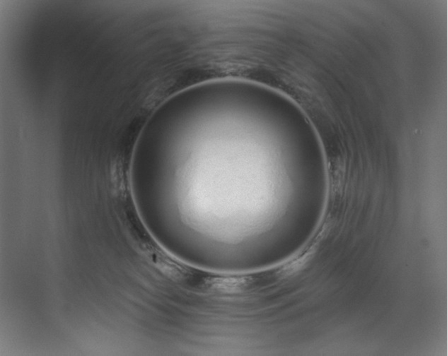 X0000074220182200608251138