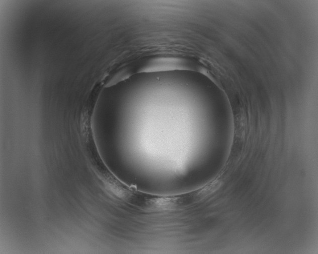 X0000074220184200608251138