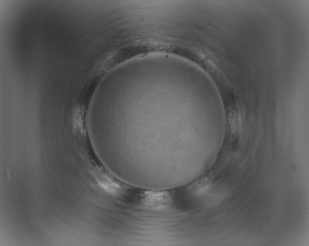 X0000074220185200608251138