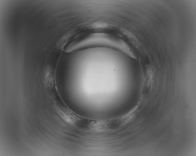 X0000074220186200608251138