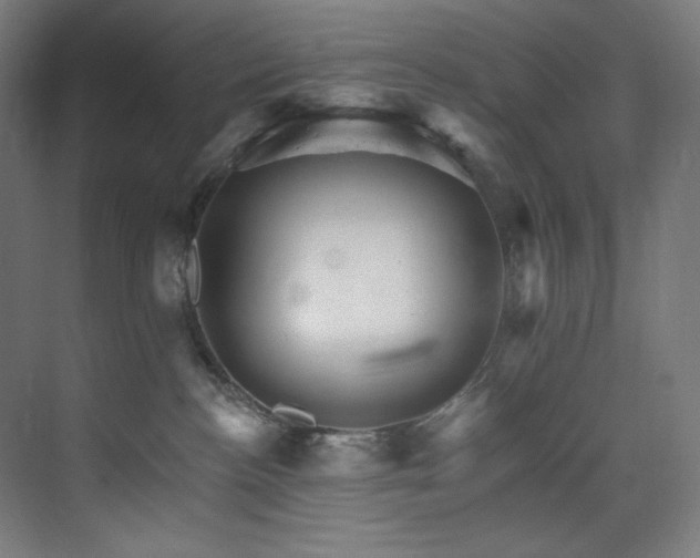 X0000074220188200608251138