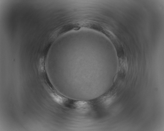 X0000074220189200608251138