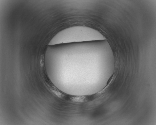 X0000074220191200608251138