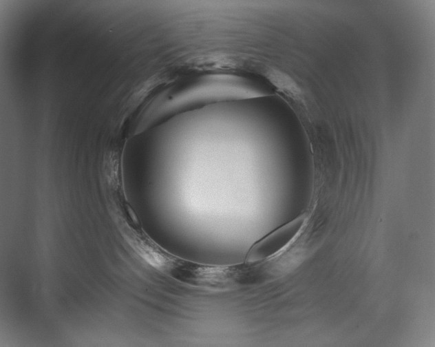 X0000074220192200608251138
