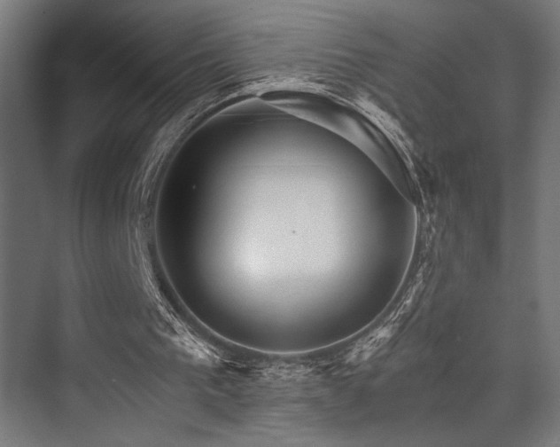X0000074220193200608251138