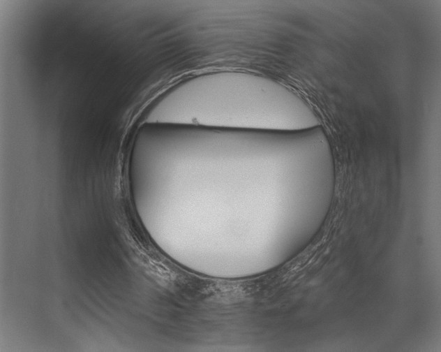 X0000074220194200608251138