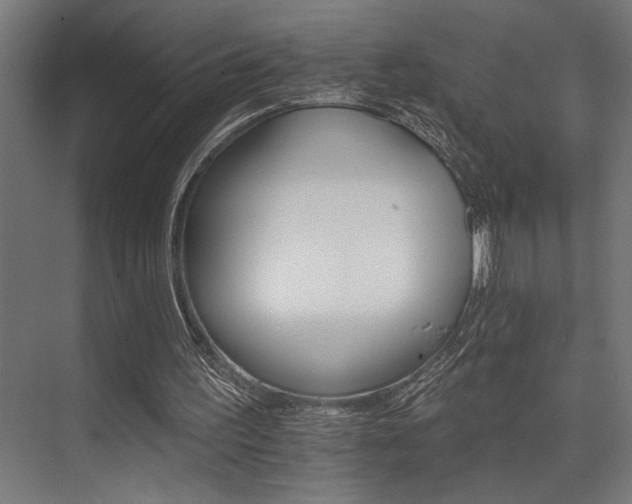 X0000074220195200608251138