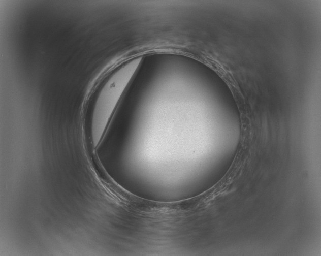 X0000074220197200608251137