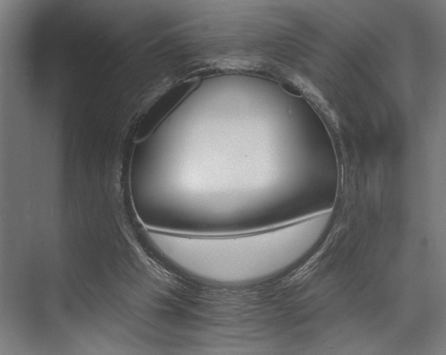 X0000074220201200608251137