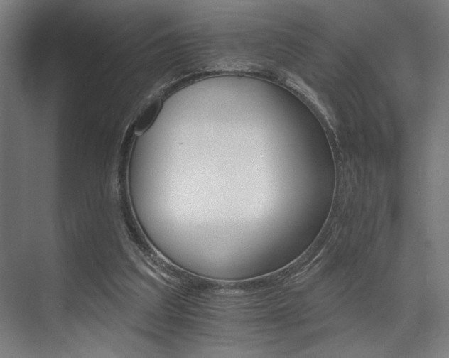 X0000074220203200608251137