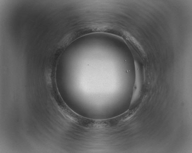 X0000074220209200608251137