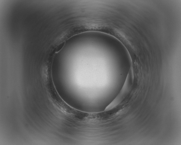 X0000074220211200608251137