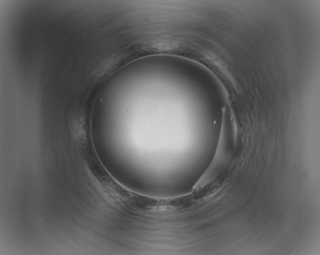 X0000074220212200608251137