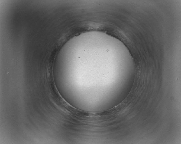 X0000074220215200608251137