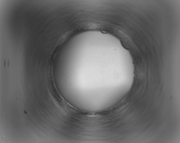 X0000074220216200608251137