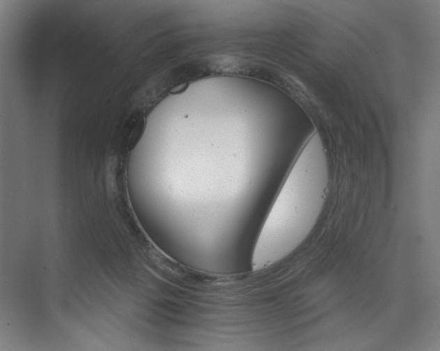 X0000074220217200608251137