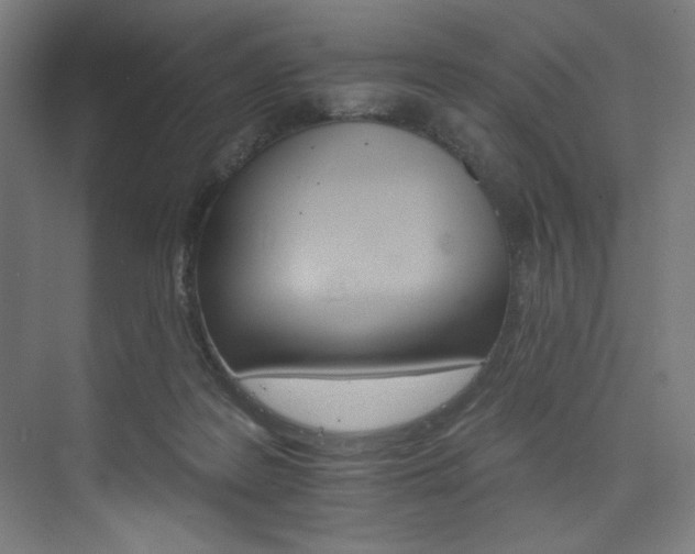 X0000074220219200608251137
