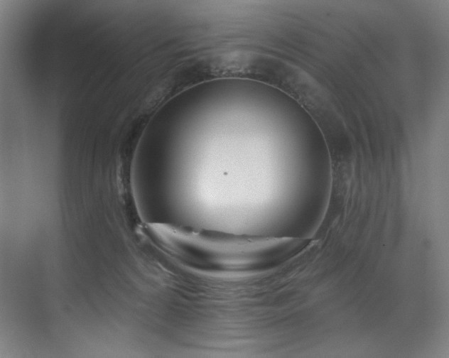 X0000074220224200608251137