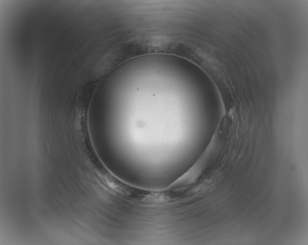 X0000074220225200608251137