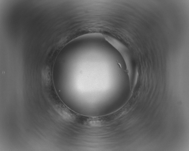 X0000074220228200608251137