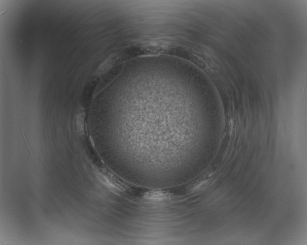 X0000074220231200608251137