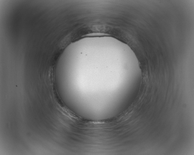 X0000074220233200608251137