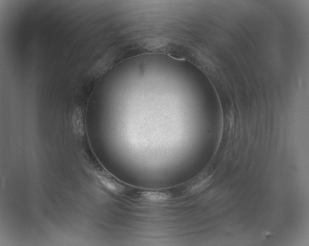 X0000074220234200608251137