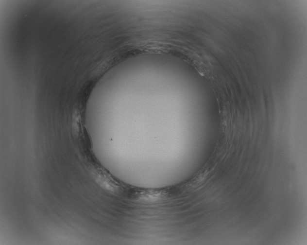 X0000074220235200608251137